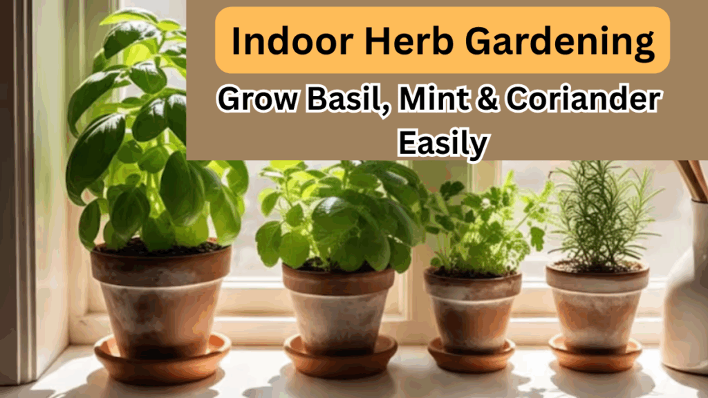 Indoor Herb Gardening in 2025: Grow Basil, Mint & Coriander Easily