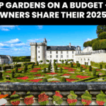Rooftop Gardens on a Budget – Indian Homeowners Share Their 2025 Hacks