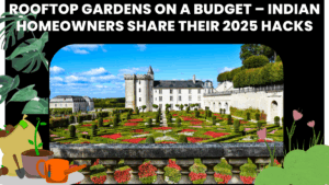 Rooftop Gardens on a Budget – Indian Homeowners Share Their 2025 Hacks