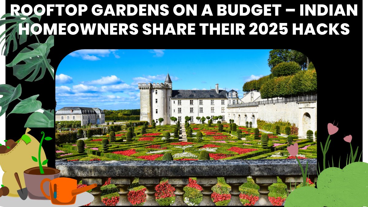 Rooftop Gardens on a Budget – Indian Homeowners Share Their 2025 Hacks